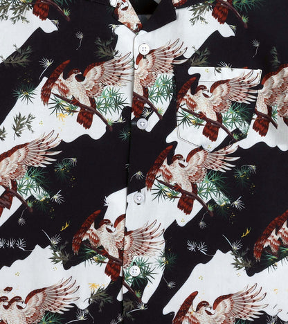 Big Bird Printed Boys Co ord Set